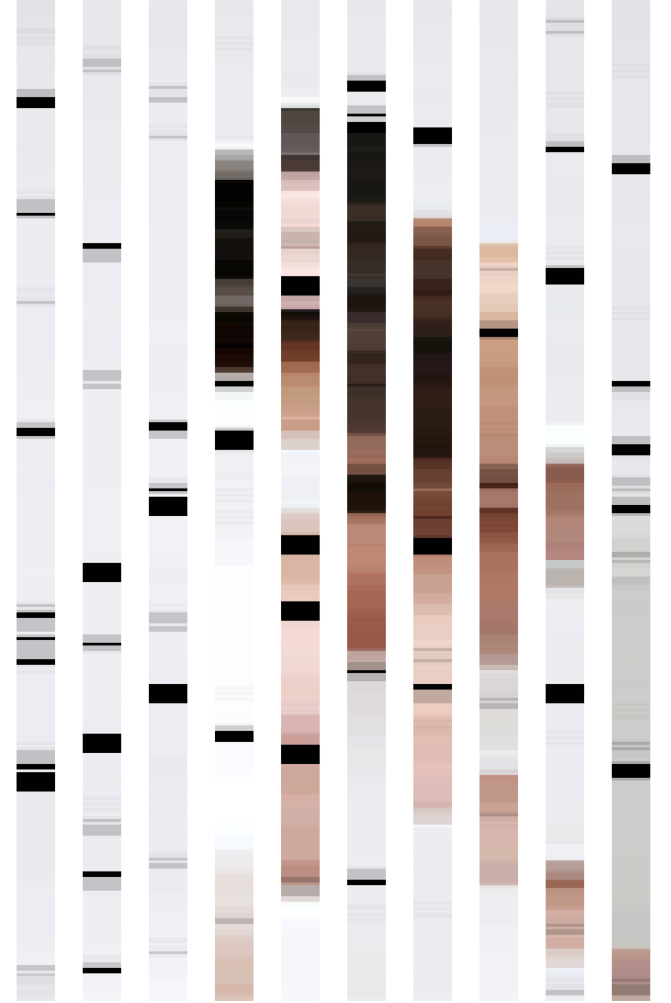 Screen Shot 2017-02-09 at 3.17.39 PM